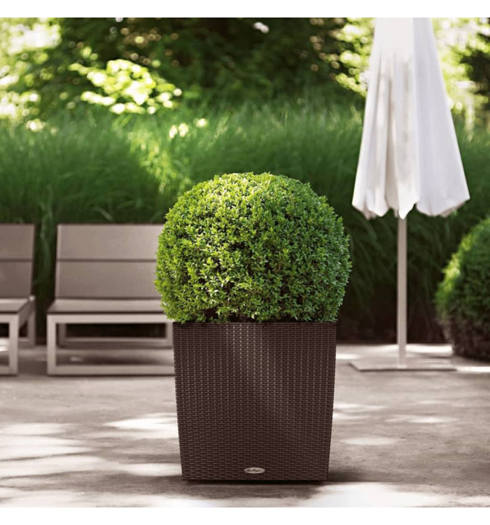 LECHUZA Jardinière CUBE Cottage 50 ALL-IN-ONE Moka | Mobilier & Déco