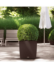 LECHUZA Jardinière CUBE Cottage 50 ALL-IN-ONE Moka | Mobilier & Déco