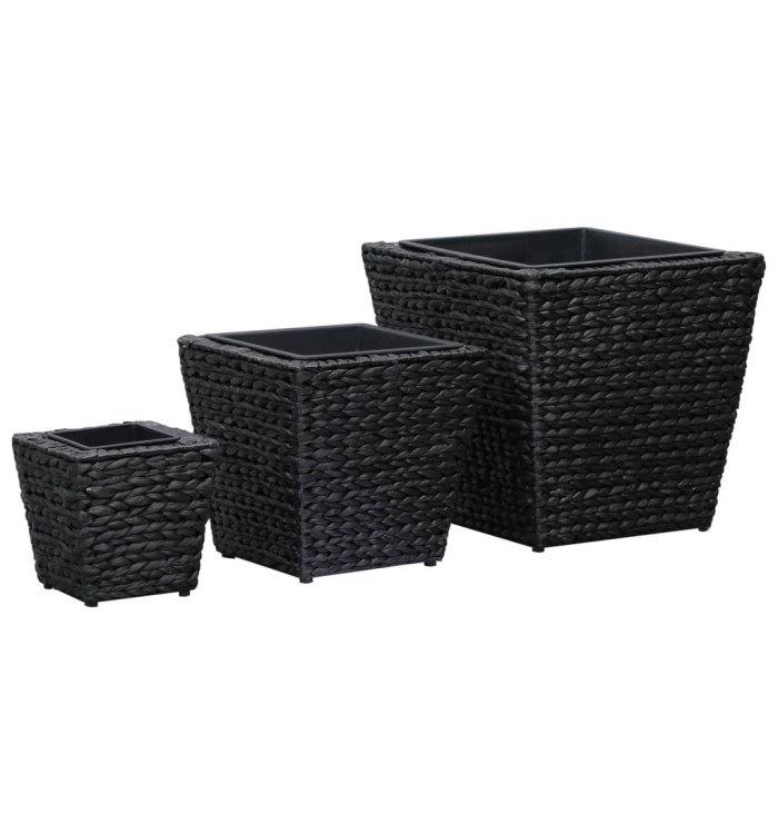 Lits surélevés 3 pcs Jacinthe d'eau Noir | Mobilier & Déco