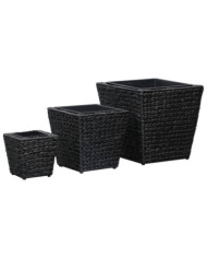 Lits surélevés 3 pcs Jacinthe d'eau Noir | Mobilier & Déco