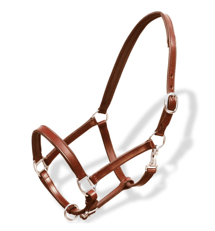 Licol Licou en cuir réglable pour écurie Poney Marron | Mobilier & Déco