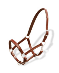 Licol Licou en cuir réglable pour écurie Poney Marron | Mobilier & Déco