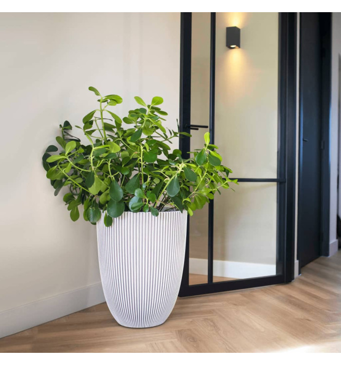 Capi Vase élégant Groove 34x46 cm ivoire | Mobilier & Déco