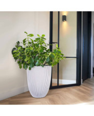 Capi Vase élégant Groove 34x46 cm ivoire | Mobilier & Déco