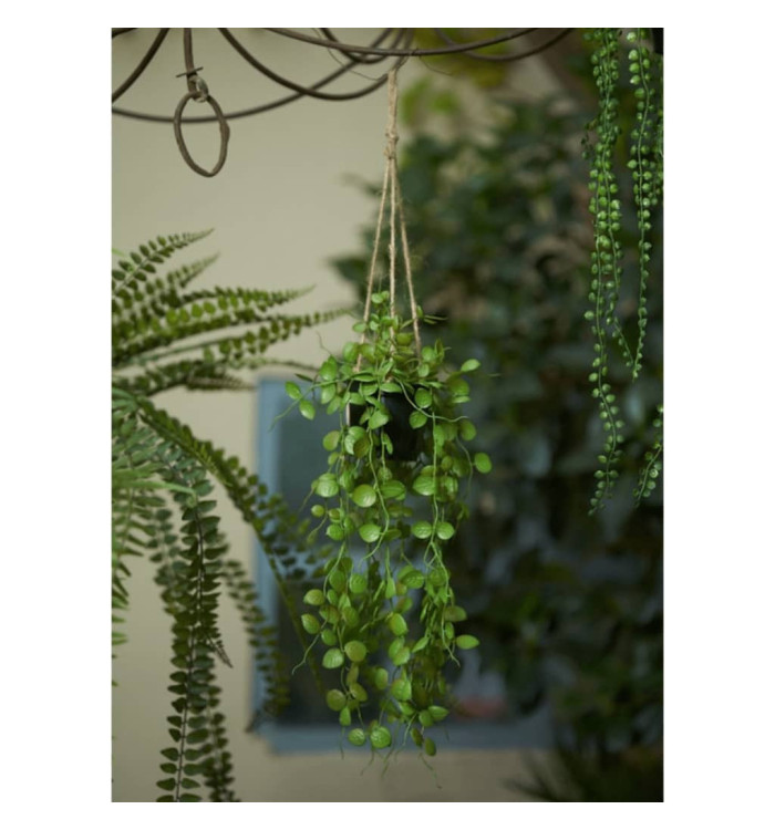 Emerald Plante artificielle suspendue Ceropegia 50 cm en pot | Mobilier & Déco