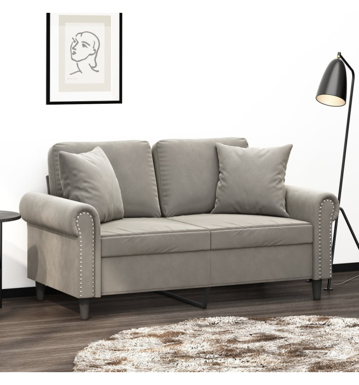 Coussins décoratifs lot de 2 Gris clair 40x40 cm Velours | Mobilier & Déco