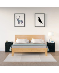 Tables de chevet 2 pcs Noir 50x35x61,5 cm Bois de pin massif | Mobilier & Déco