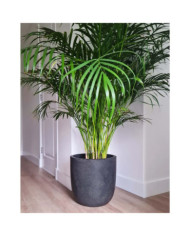 Capi Pot à fleurs Waste Smooth 43x41 cm Gris | Mobilier & Déco