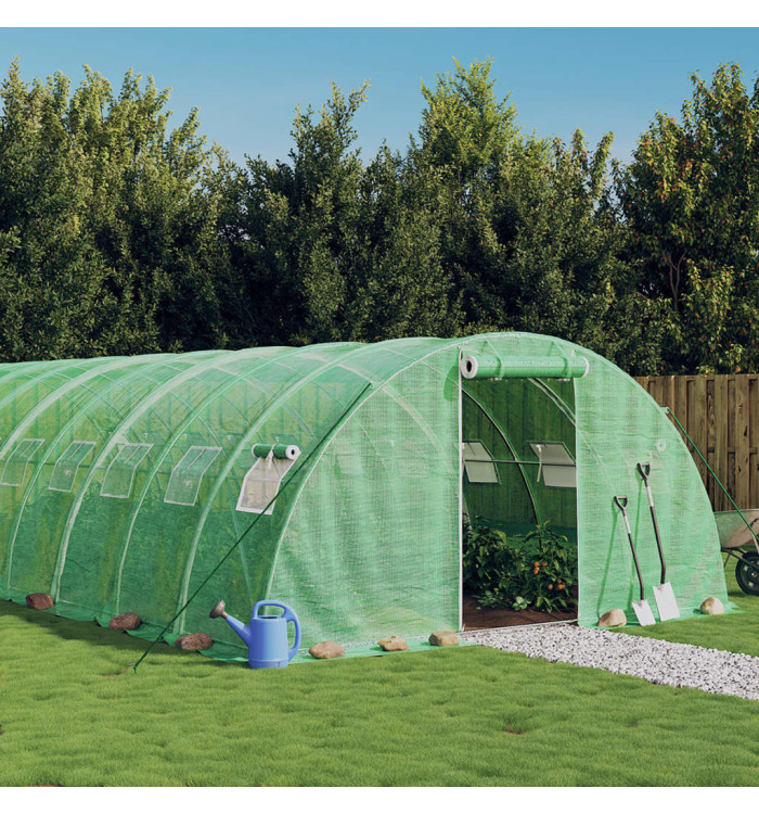 Serre avec cadre en acier vert 24 m² 6x4x2 m | Mobilier & Déco