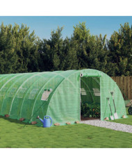 Serre avec cadre en acier vert 24 m² 6x4x2 m | Mobilier & Déco