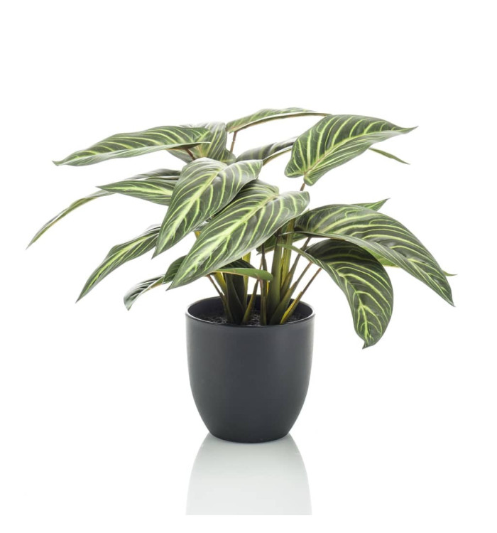 Emerald Calathea artificiel Zebrina 38 cm en pot | Mobilier & Déco