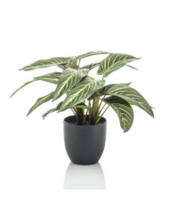Emerald Calathea artificiel Zebrina 38 cm en pot | Mobilier & Déco