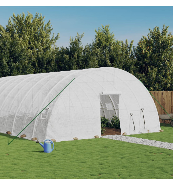 Serre avec cadre en acier blanc 60 m² 10x6x2,85 m | Mobilier & Déco