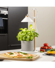Smartwares Lampe de culture de jardin à LED 9 W Blanc | Mobilier & Déco