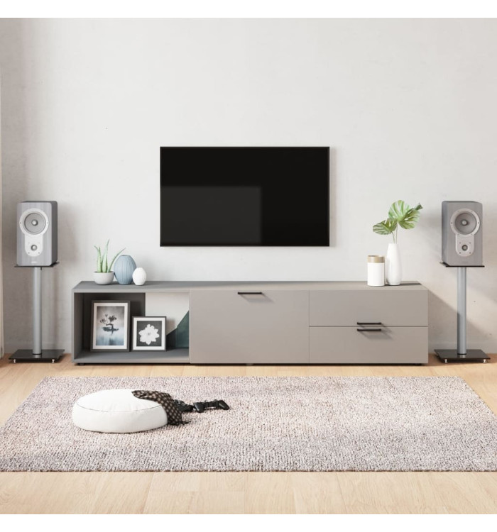 Supports de haut-parleurs 2 pcs noir et argenté 1 pilier | Mobilier & Déco