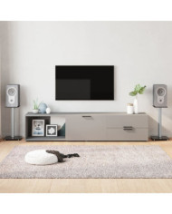 Supports de haut-parleurs 2 pcs noir et argenté 1 pilier | Mobilier & Déco