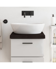Comptoir de salle de bain marron foncé bois massif traité | Mobilier & Déco