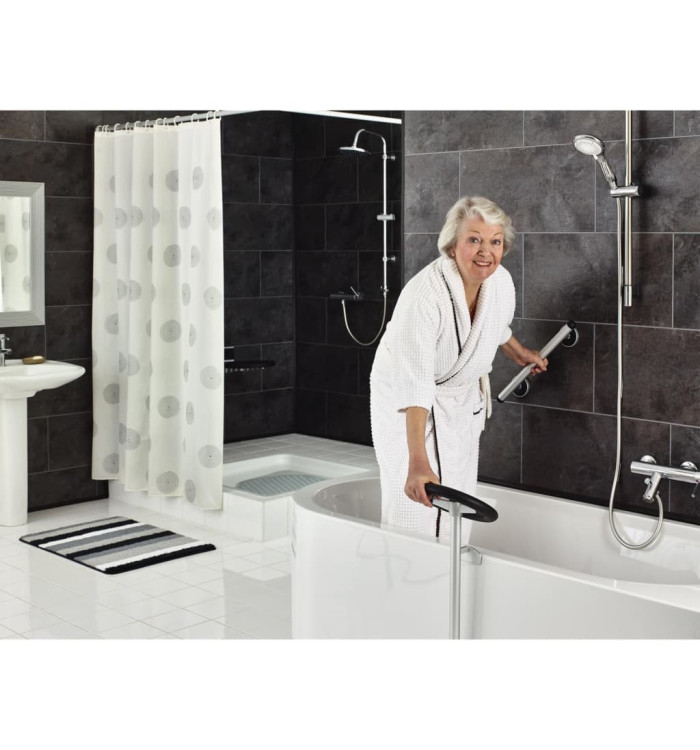 RIDDER Barre d'appui de sécurité Premium 45 cm Aluminium Argenté | Mobilier & Déco