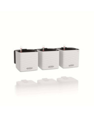 LECHUZA 3 pcs Jardinières Green Wall Home Kit Blanc | Mobilier & Déco