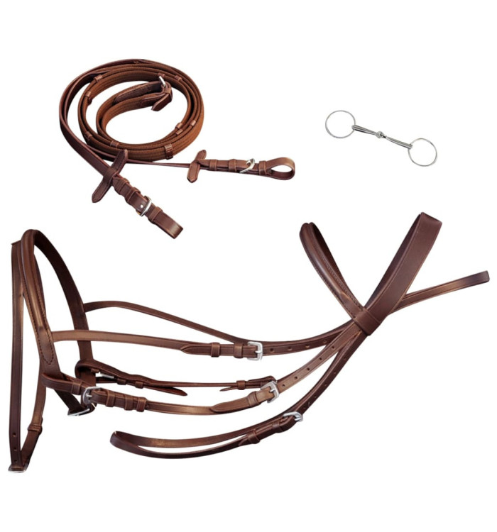 Bride Flash en cuir avec rênes et bout pour poney Marron | Mobilier & Déco
