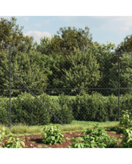 Clôture à mailles losangées avec ancrage anthracite 1,6x10 m | Mobilier & Déco