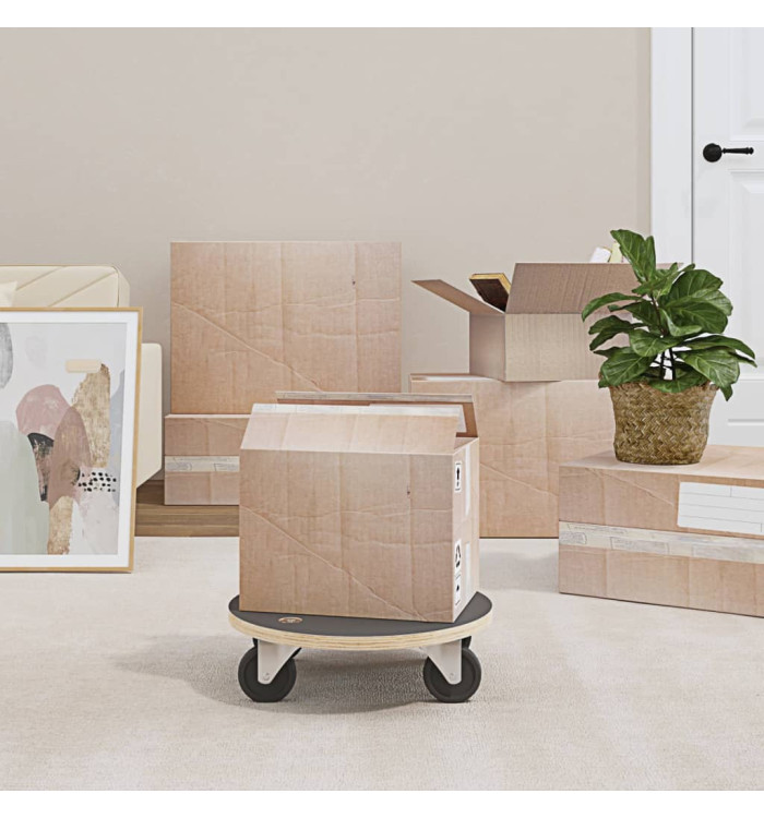 Chariots de transport 2 pcs rond Ø38x11,5 cm 250 kg | Mobilier & Déco