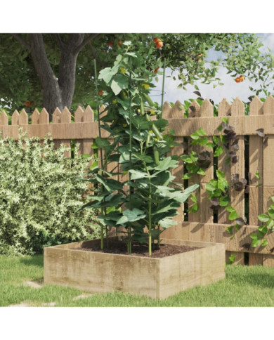 Supports pour plantes de jardin 3 anneaux 5pcs Vert 75 cm Acier | Mobilier & Déco