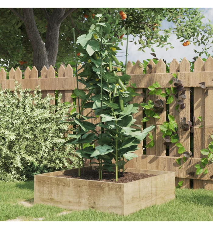 Supports pour plantes de jardin 3 anneaux 5pcs Vert 75 cm Acier | Mobilier & Déco