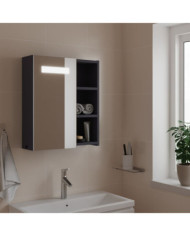 Armoire de salle de bain à miroir avec LED gris 45x13x52 cm | Mobilier & Déco