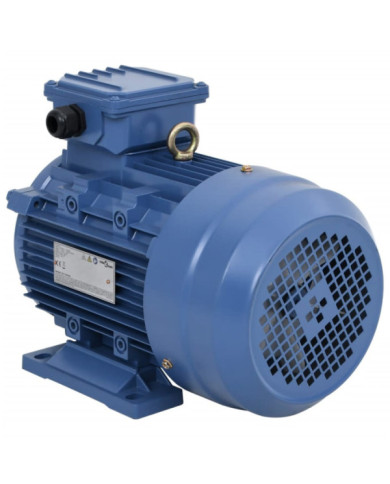 Moteur électrique triphasé Aluminium 4kW/5,5 CH 2840 tr/min | Mobilier & Déco