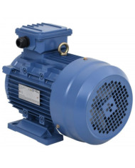 Moteur électrique triphasé Aluminium 4kW/5,5 CH 2840 tr/min | Mobilier & Déco
