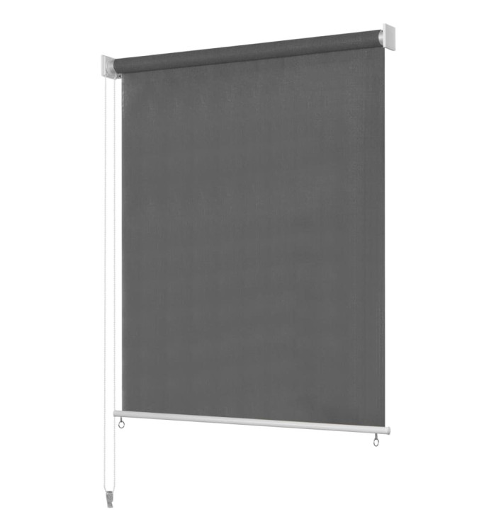 Store roulant d'extérieur 140 x 230 cm Anthracite | Mobilier & Déco