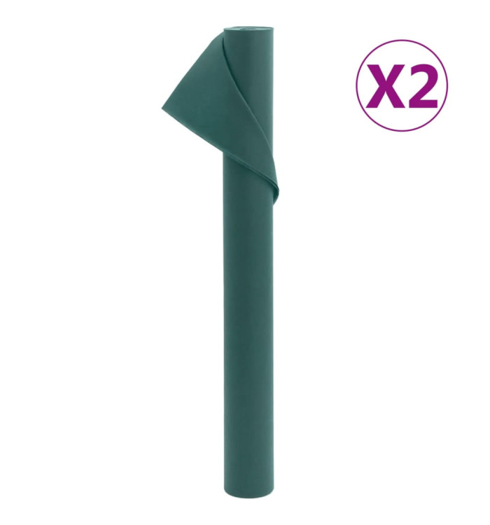 Toison végétale 2 rouleaux 70 g/m² 10x1,6 m | Mobilier & Déco
