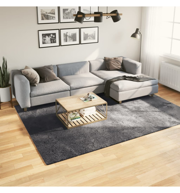 Tapis HUARTE à poils courts doux lavable anthracite 200x280 cm | Mobilier & Déco