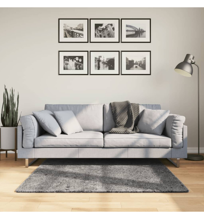 Tapis HUARTE à poils courts doux lavable anthracite 120x120 cm | Mobilier & Déco