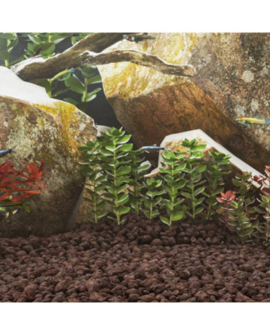 Roches volcaniques 25 kg rouge 3-5 cm | Mobilier & Déco