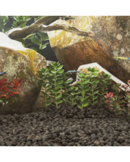 Roches volcaniques 10 kg noir 3-5 cm | Mobilier & Déco