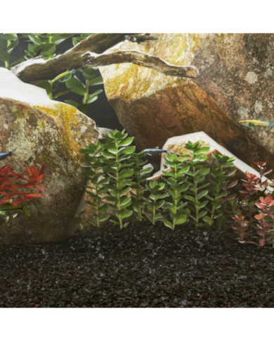 Sable pour aquarium 10 kg noir 0,2-2 mm | Mobilier & Déco