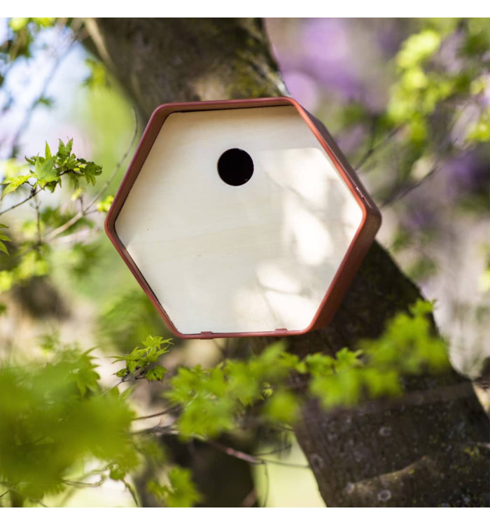 Capi Maison à oiseaux Hive 1 19x23x20 cm trou rond marron | Mobilier & Déco