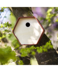 Capi Maison à oiseaux Hive 1 19x23x20 cm trou rond marron | Mobilier & Déco