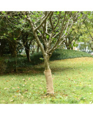 Rouleau de jute 0,5x50 m 100 % jute 200 g/m² | Mobilier & Déco