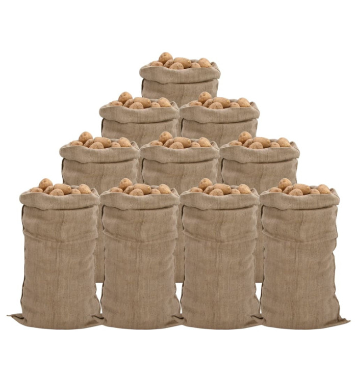 Sacs en jute 10 pcs 65x135 cm 100 % jute 340 g/m² | Mobilier & Déco