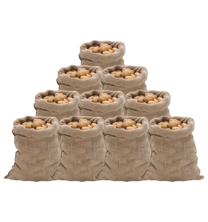Sacs en jute 10 pcs 60x105 cm 100 % jute 220 g/m² | Mobilier & Déco