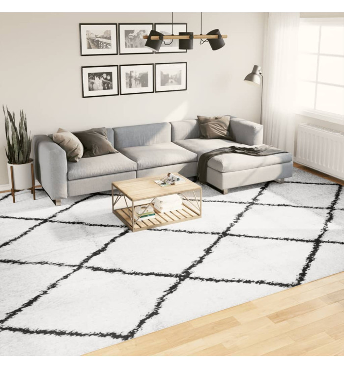 Tapis shaggy à poils longs moderne crème et noir 300x400 cm | Mobilier & Déco
