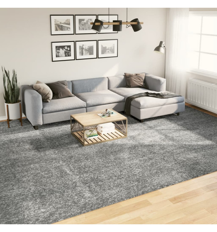 Tapis shaggy PAMPLONA poils longs moderne vert 300x400 cm | Mobilier & Déco