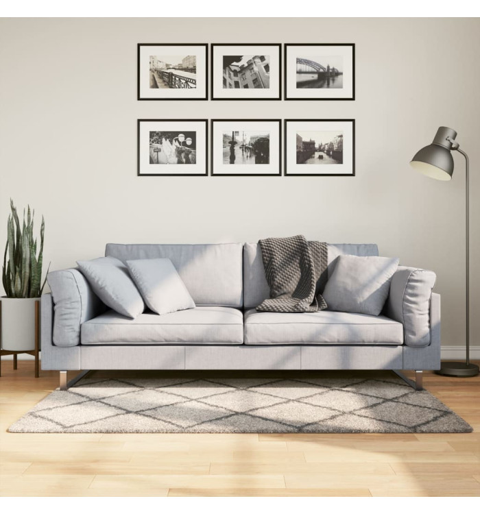 Tapis shaggy à poils longs moderne beige anthracite 80x150 cm | Mobilier & Déco