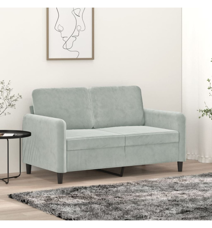 Canapé à 2 places Gris clair 120 cm Velours | Mobilier & Déco