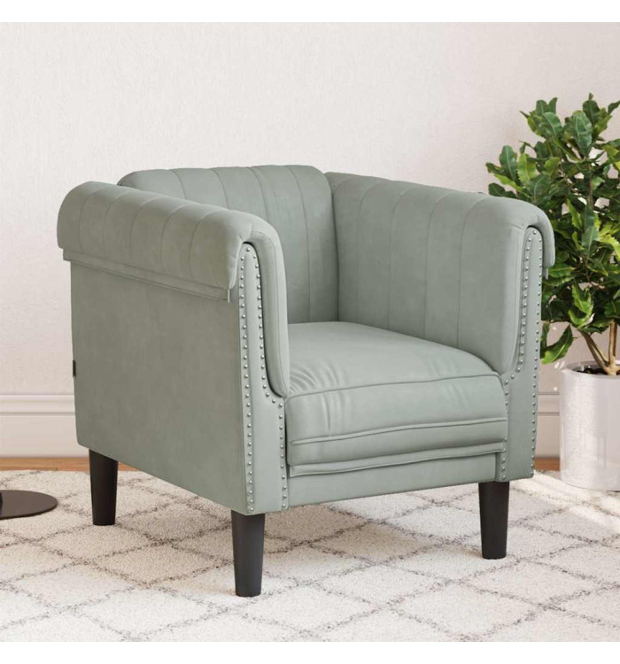 Fauteuil gris clair Velours | Mobilier & Déco