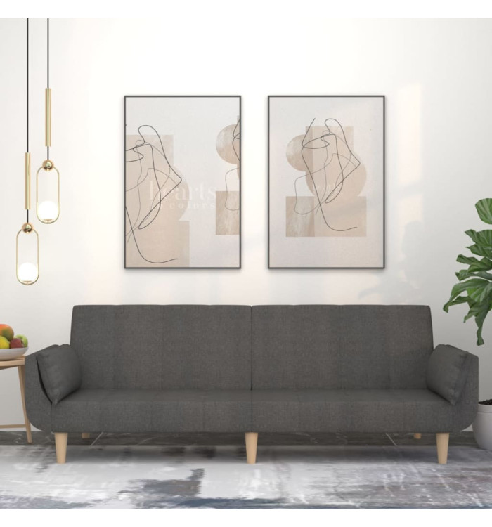 Canapé-lit à 2 places avec deux oreillers Gris foncé Tissu | Mobilier & Déco
