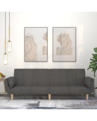 Canapé-lit à 2 places avec deux oreillers Gris foncé Tissu | Mobilier & Déco